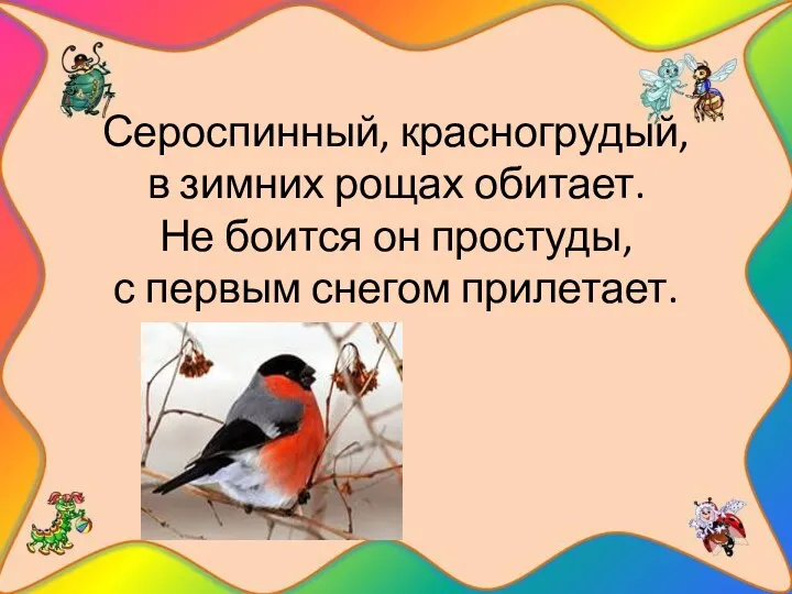 Сероспинный, красногрудый, в зимних рощах обитает. Не боится он простуды, с первым снегом прилетает.