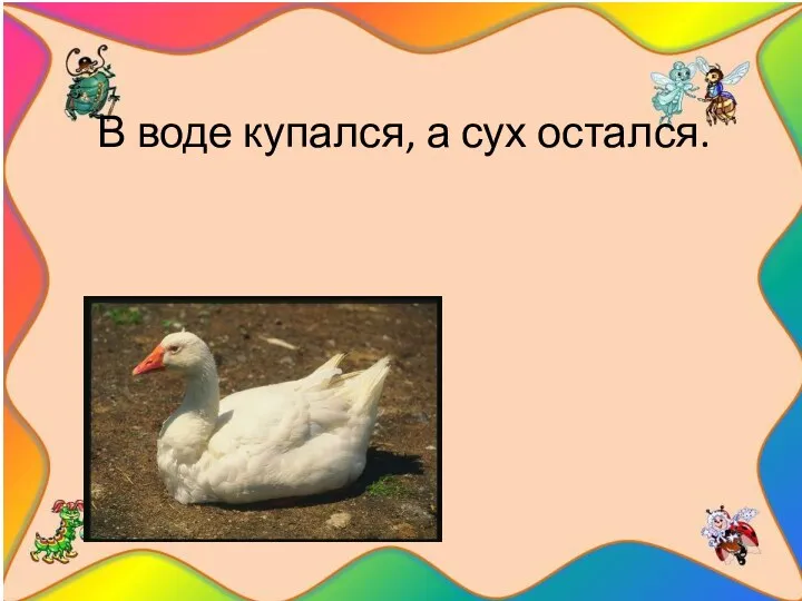 В воде купался, а сух остался.