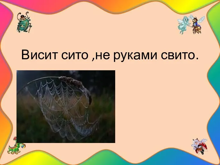 Висит сито ,не руками свито.