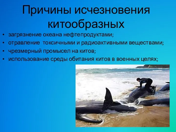 Причины исчезновения китообразных загрязнение океана нефтепродуктами; отравление токсичными и радиоактивными веществами; чрезмерный промысел