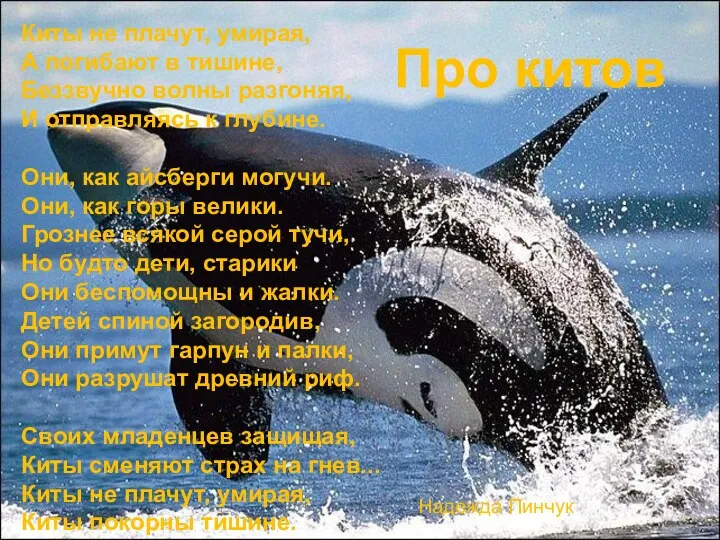 Про китов Киты не плачут, умирая, А погибают в тишине, Беззвучно волны разгоняя,