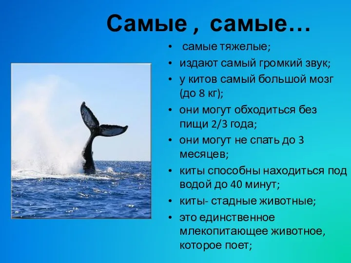 Самые , самые… самые тяжелые; издают самый громкий звук; у китов самый большой