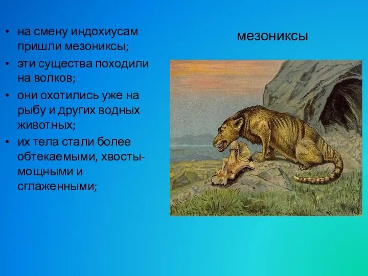 на смену индохиусам пришли мезониксы; эти существа походили на волков; они охотились уже