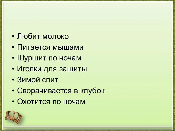 Любит молоко Питается мышами Шуршит по ночам Иголки для защиты Зимой спит Сворачивается