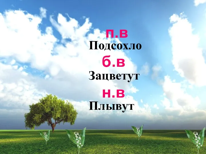 Подсохло Зацветут Плывут п.в б.в н.в