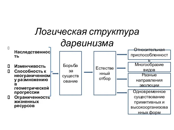 Борьба за существование Логическая структура дарвинизма Наследственность Изменчивость Способность к