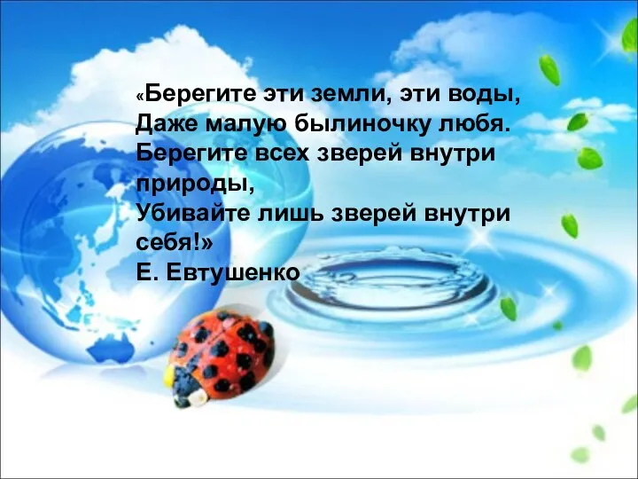 «Берегите эти земли, эти воды, Даже малую былиночку любя. Берегите