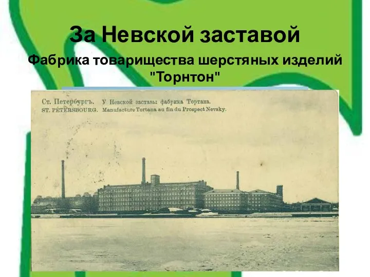 За Невской заставой Фабрика товарищества шерстяных изделий "Торнтон"