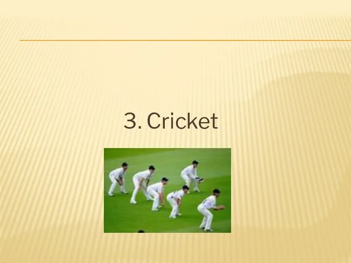 3. Cricket