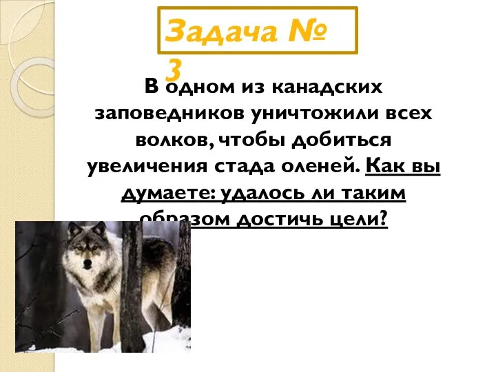 В одном из канадских заповедников уничтожили всех волков, чтобы добиться