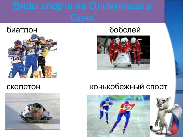 Виды спорта на Олимпиаде в Сочи биатлон бобслей скелетон конькобежный спорт