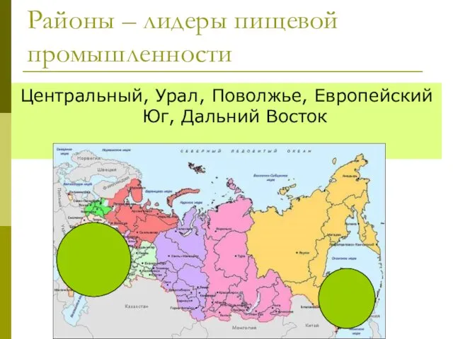 Районы – лидеры пищевой промышленности Центральный, Урал, Поволжье, Европейский Юг, Дальний Восток