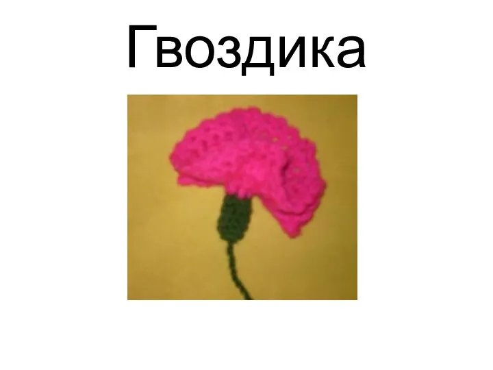 Гвоздика