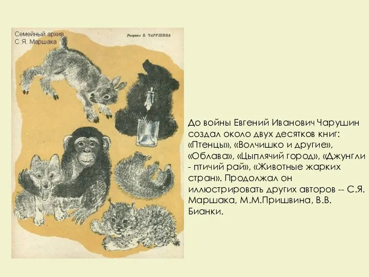 До войны Евгений Иванович Чарушин создал около двух десятков книг: