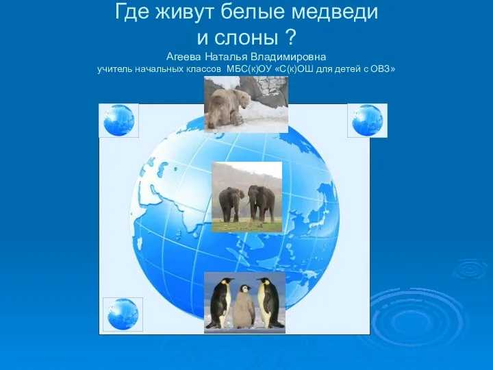 Где живут белые медведи и слоны ? Агеева Наталья Владимировна учитель начальных классов