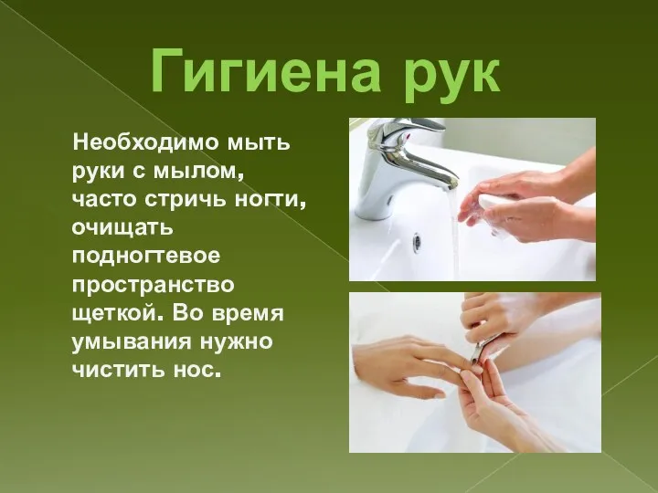 Гигиена рук Необходимо мыть руки с мылом, часто стричь ногти,
