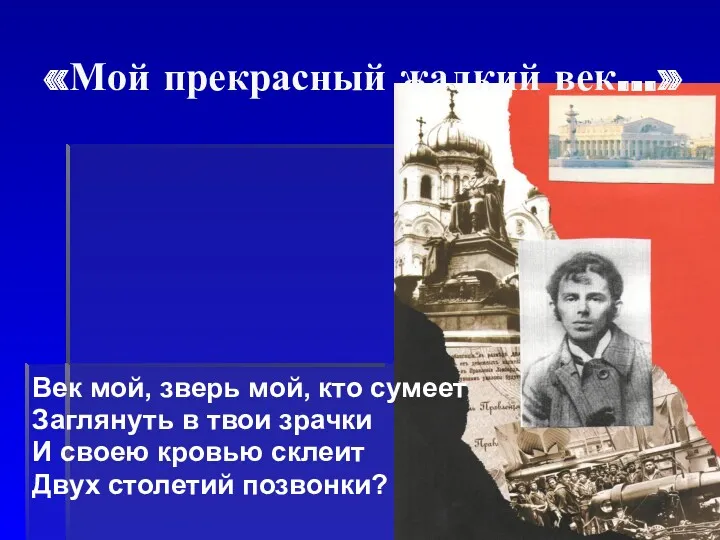 «Мой прекрасный жалкий век…» Век мой, зверь мой, кто сумеет Заглянуть в твои