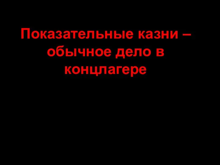 Показательные казни – обычное дело в концлагере