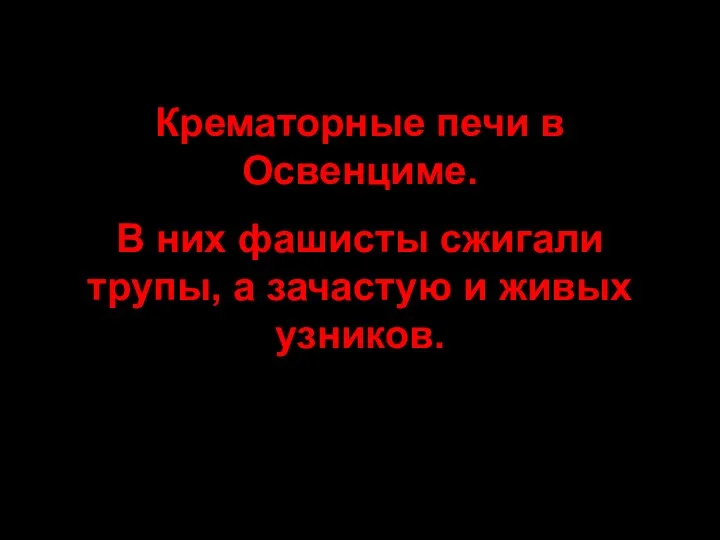 Крематорные печи в Освенциме. В них фашисты сжигали трупы, а зачастую и живых узников.