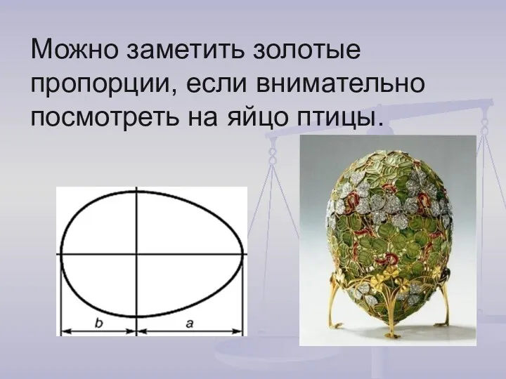 Можно заметить золотые пропорции, если внимательно посмотреть на яйцо птицы.