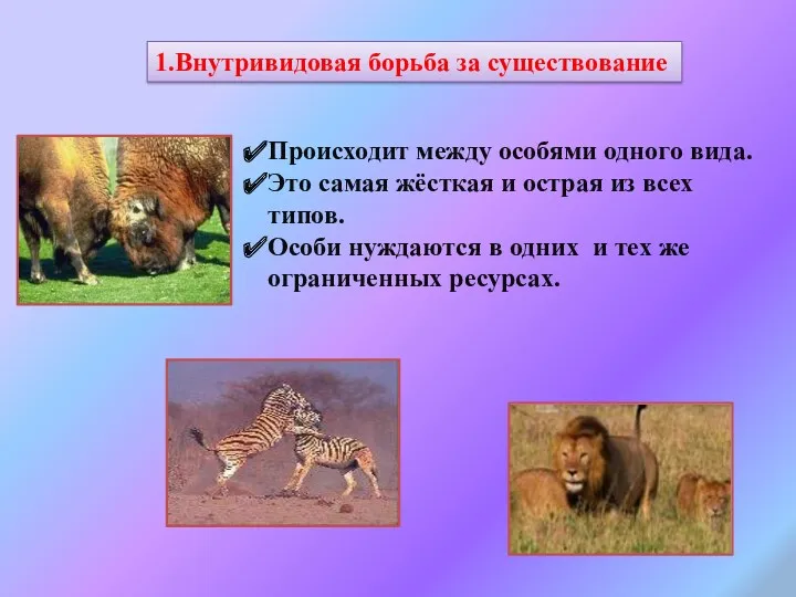 1.Внутривидовая борьба за существование Происходит между особями одного вида. Это