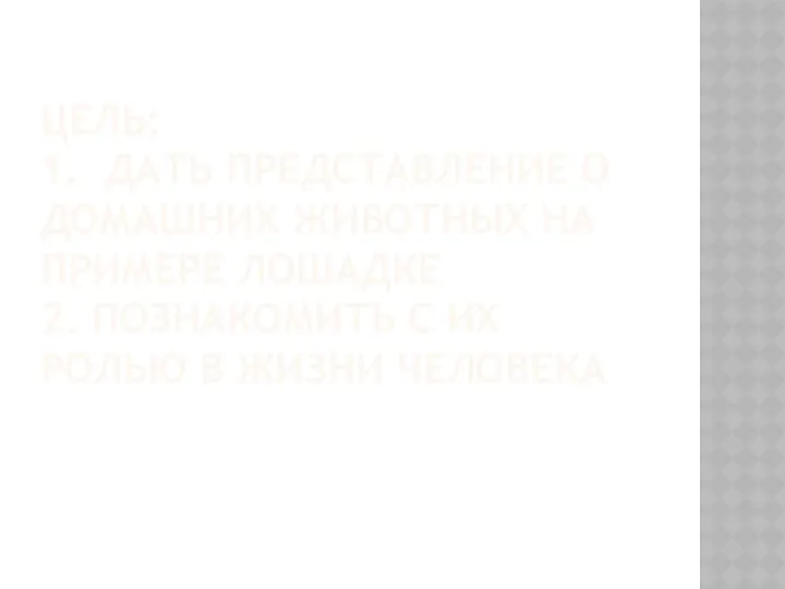 ЦЕЛЬ: 1. ДАТЬ ПРЕДСТАВЛЕНИЕ О ДОМАШНИХ ЖИВОТНЫХ НА ПРИМЕРЕ ЛОШАДКЕ