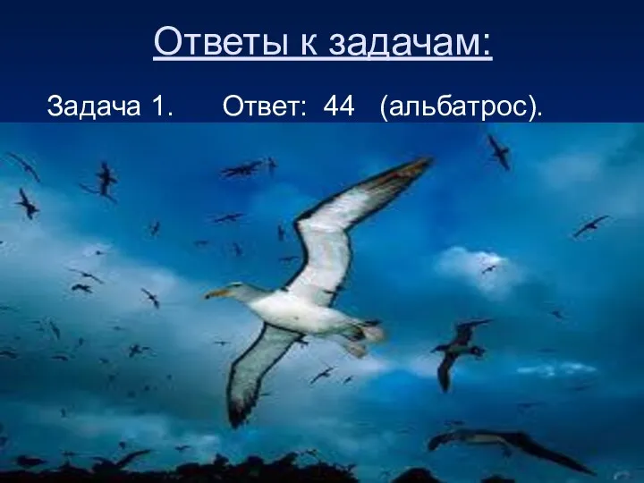 Ответы к задачам: Задача 1. Ответ: 44 (альбатрос).