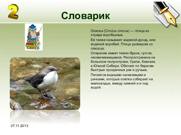 Словарик Оляпка (Cinclus cinclus) — птица из отряда воробьиных. Её