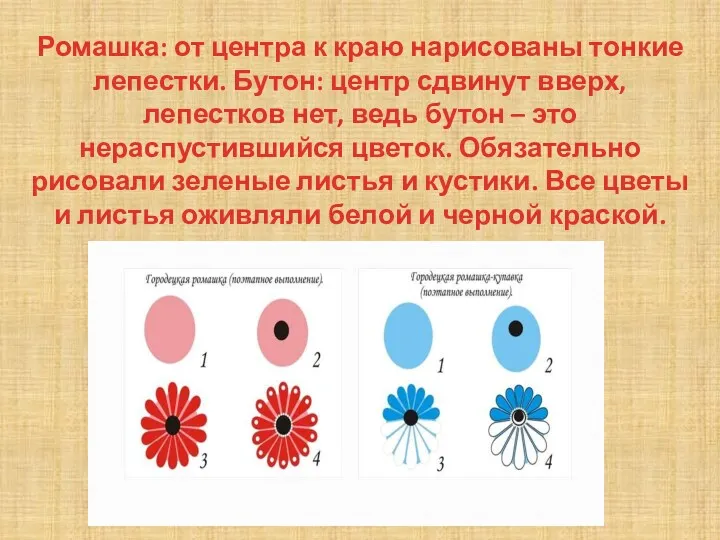 Ромашка: от центра к краю нарисованы тонкие лепестки. Бутон: центр