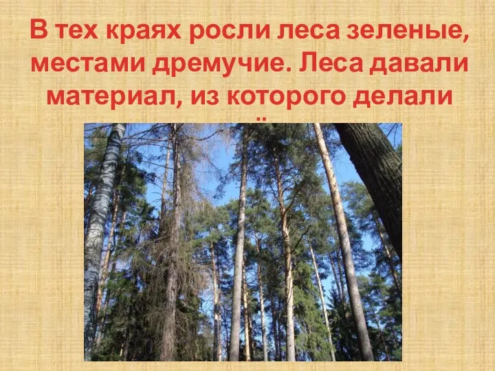 В тех краях росли леса зеленые, местами дремучие. Леса давали материал, из которого делали всё: