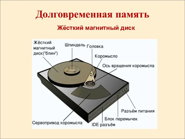 Долговременная память Жёсткий магнитный диск