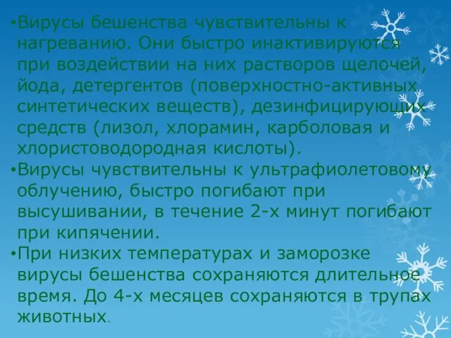 Вирусы бешенства чувствительны к нагреванию. Они быстро инактивируются при воздействии