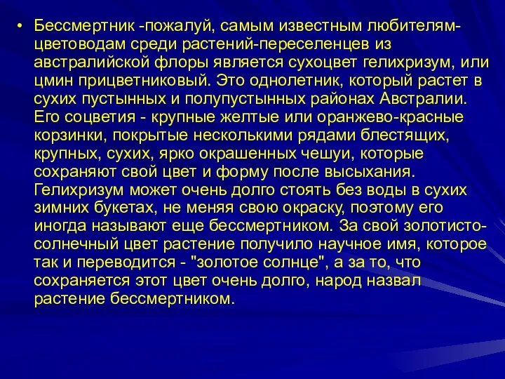 Бессмертник -пожалуй, самым известным любителям-цветоводам среди растений-переселенцев из австралийской флоры