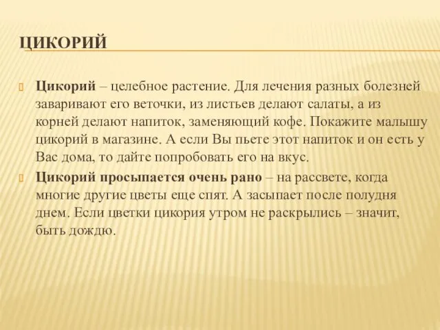 ЦИКОРИЙ Цикорий – целебное растение. Для лечения разных болезней заваривают