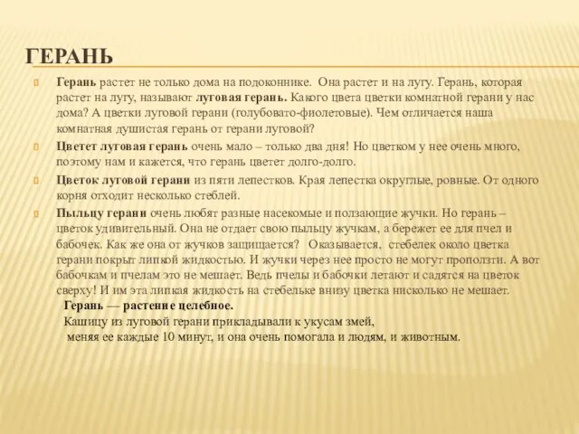 ГЕРАНЬ Герань растет не только дома на подоконнике. Она растет