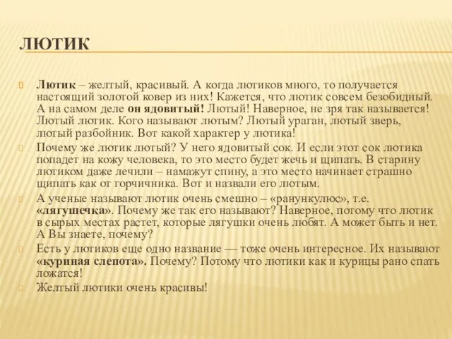 ЛЮТИК Лютик – желтый, красивый. А когда лютиков много, то