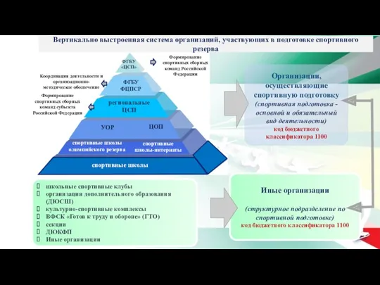 Вертикально выстроенная система организаций, участвующих в подготовке спортивного резерва Организации,