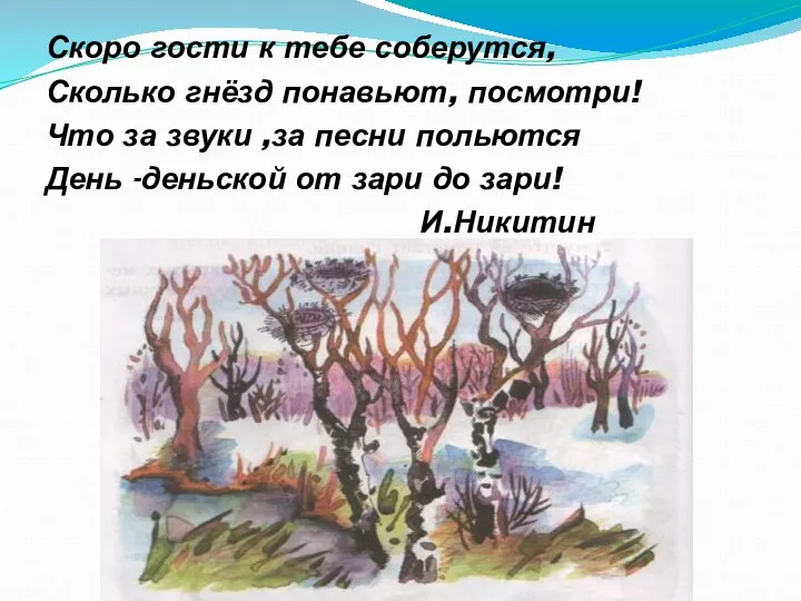 Скоро гости к тебе соберутся, Сколько гнёзд понавьют, посмотри! Что