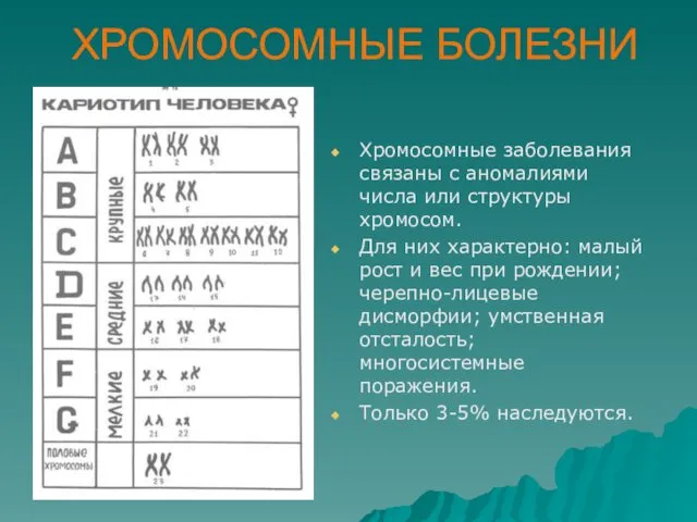 ХРОМОСОМНЫЕ БОЛЕЗНИ Хромосомные заболевания связаны с аномалиями числа или структуры