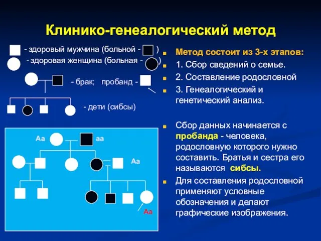 Клинико-генеалогический метод - здоровый мужчина (больной - ) - здоровая