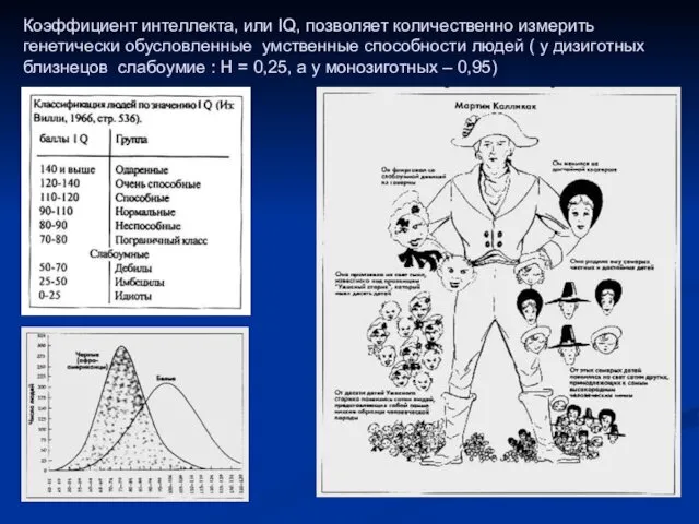 Коэффициент интеллекта, или IQ, позволяет количественно измерить генетически обусловленные умственные