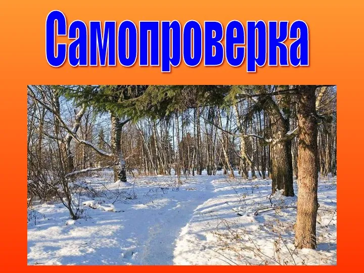 Самопроверка