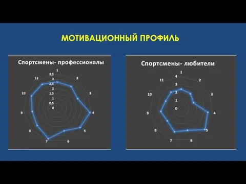 МОТИВАЦИОННЫЙ ПРОФИЛЬ