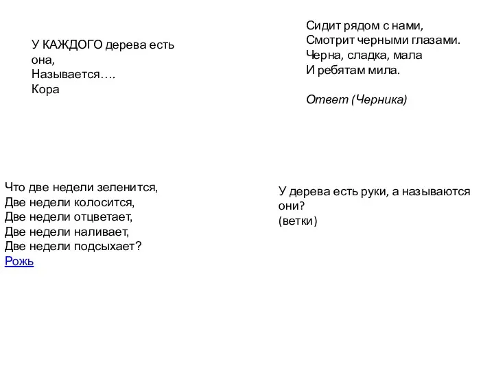 У КАЖДОГО дерева есть она, Называется…. Кора Сидит рядом с нами, Смотрит черными