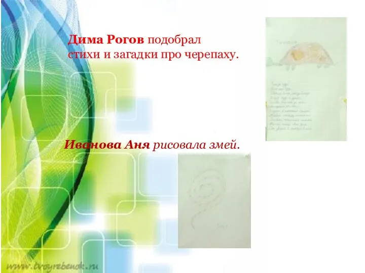 Дима Рогов подобрал стихи и загадки про черепаху. Иванова Аня рисовала змей.