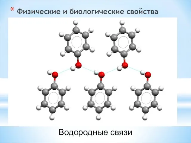 Физические и биологические свойства Водородные связи