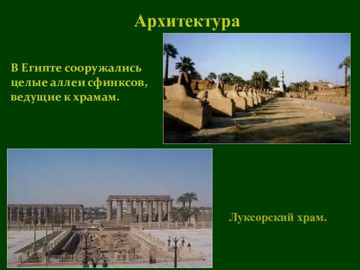 В Египте сооружались целые аллеи сфинксов, ведущие к храмам. Архитектура Луксорский храм.