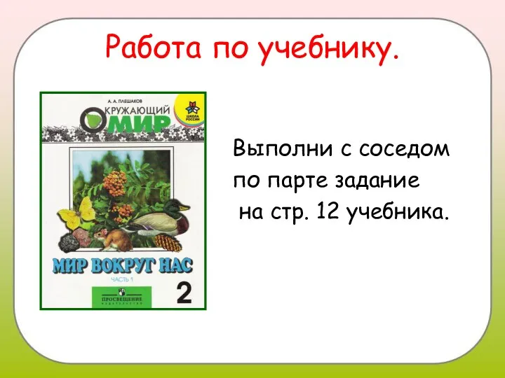 Работа по учебнику. Выполни с соседом по парте задание на стр. 12 учебника.