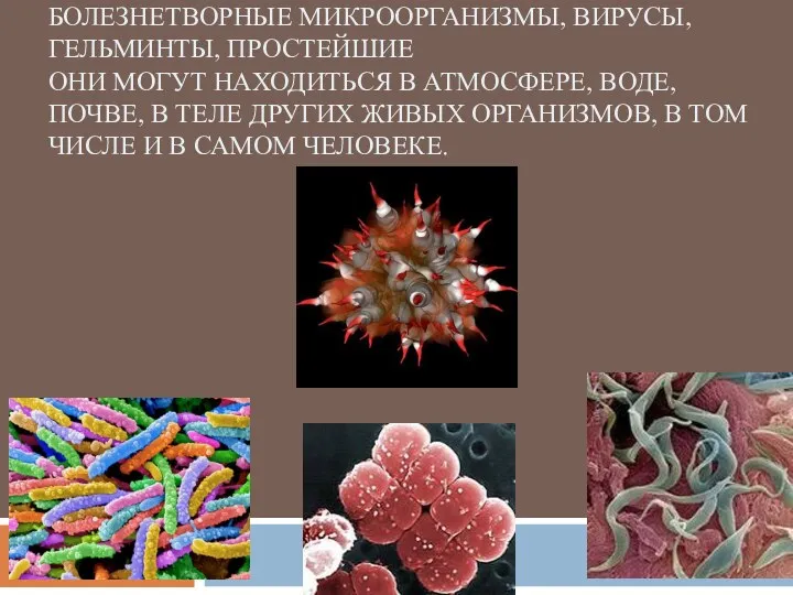 . болезнетворные микроорганизмы, вирусы, гельминты, простейшие Они могут находиться в