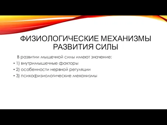 Физиологические механизмы развития силы В развитии мышечной силы имеют значение: